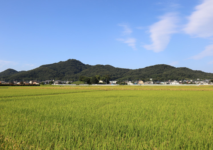 太田金山