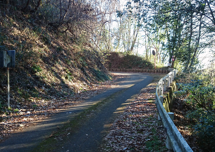 松井田城