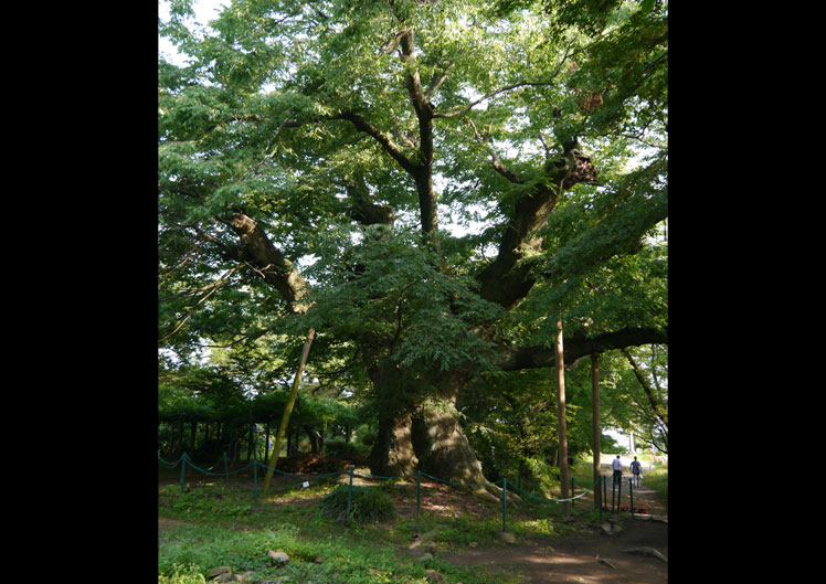 新田神社