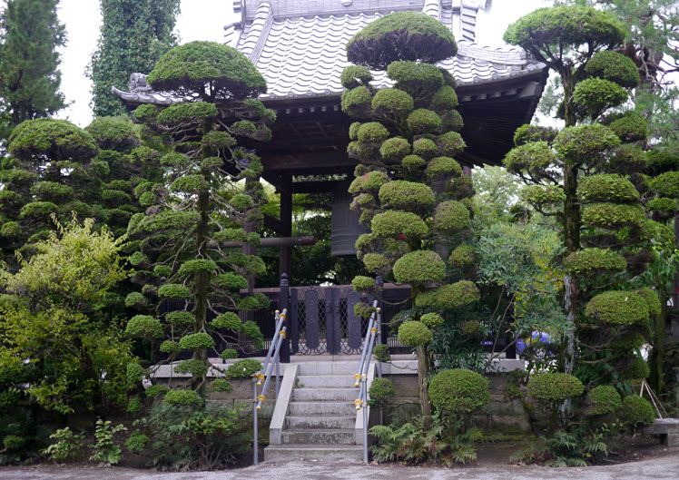 反町薬師（反町館跡／妙光院照明寺）