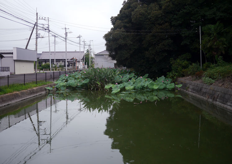 反町薬師（反町館跡／妙光院照明寺）