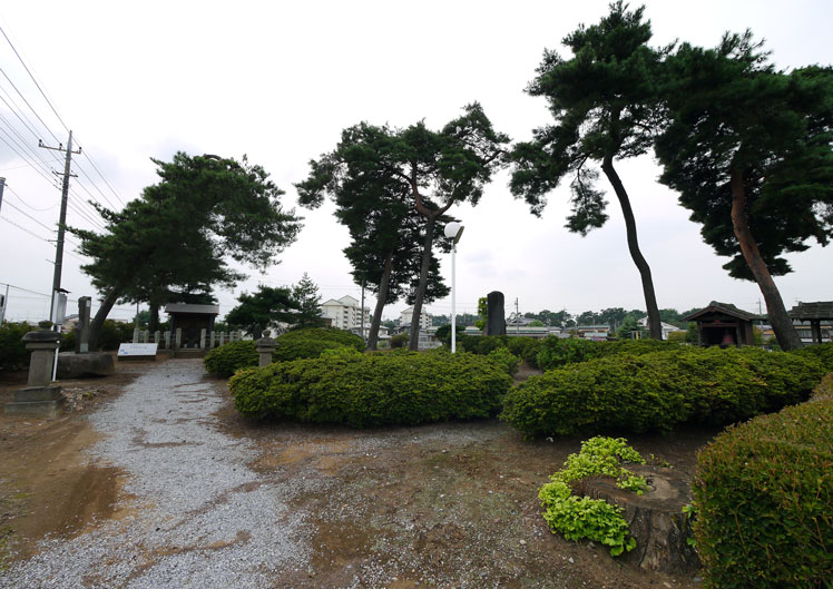 多々良沼（邑楽町／館林市）