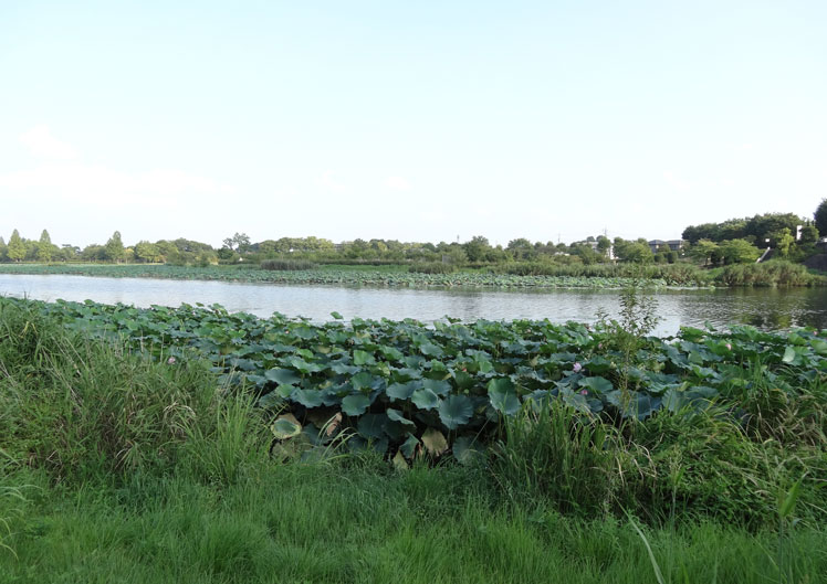 館林城