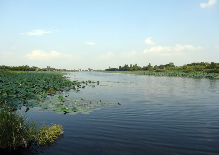 館林城