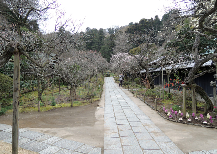 東慶寺（鎌倉市）