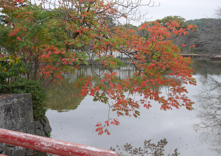 鶴岡八幡宮（鎌倉市）